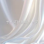 【送料無料】サイズ計測用チップ