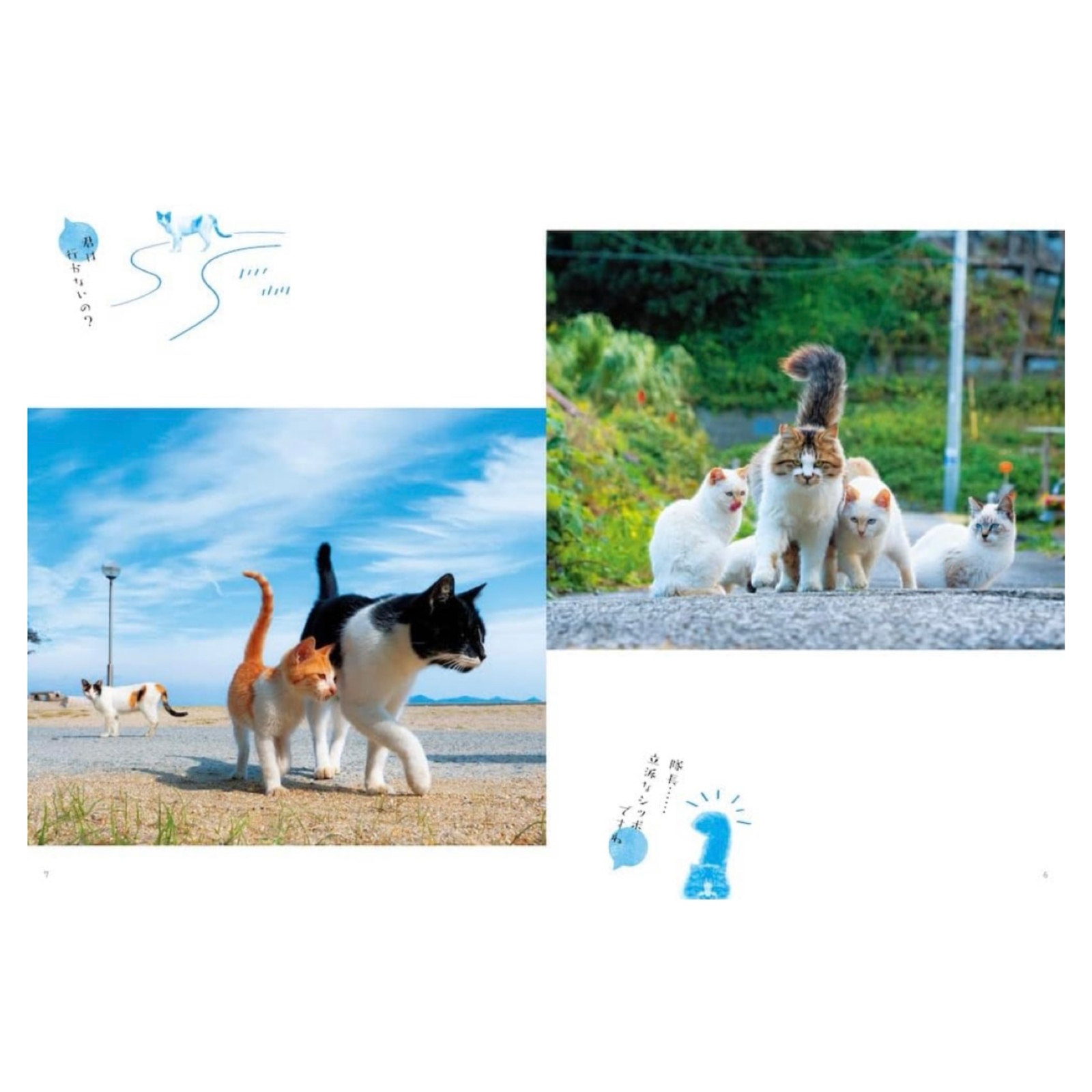 写真集『日本の島のごきげんな猫』サイン入り本（Photobook 