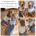 大型犬　🛒Cure&Moon