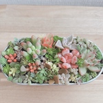多肉植物セダム寄せ植え　そのまま飾れます