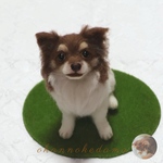 ruha0822様専用窓口　たんぽぽの綿毛⚪️🌱チワワオーダーメイド　羊毛フェルト　犬　オーダー　