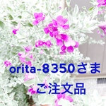 orita-8350様　ご注文品