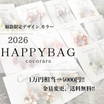 《数量限定》☆happybag☆ 2026福袋ピアス/イヤリング5点セット