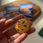 チョコチップクッキー マグネット フェイクフード