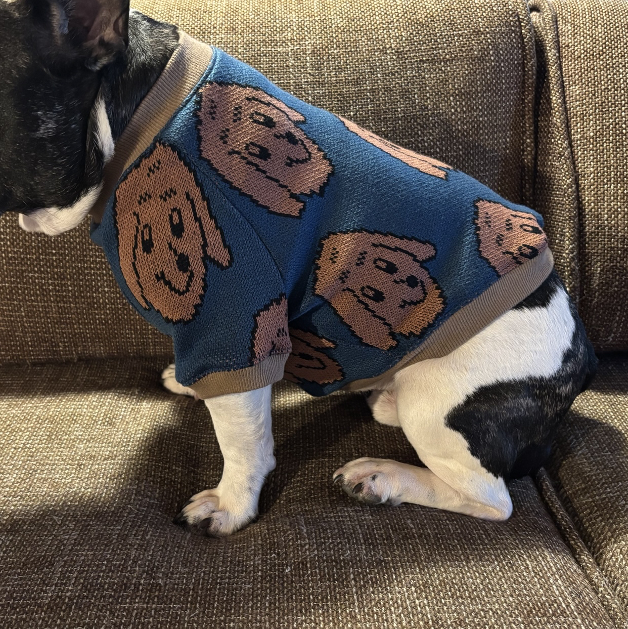 フレンチブルドッグ服の人気通販 | minne byGMOペパボ 国内最大級の