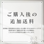 ご購入後の追加送料2