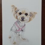 【mame-pea様オーダー品】愛犬イラスト