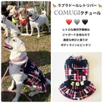 大型犬　スカート付きタンクトップ　🛒KOMUGIちゃん