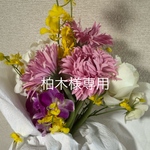 柏木様専用ページ