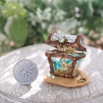 【訳あり品】小さな海の宝箱