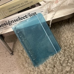 韓国雑貨入荷！pvcバインダーA6サイズ/saving/savingグッズ/家計管理グッズ/シール帳