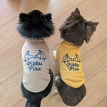 トレーナー（袖あり・袖なし）　　パンプキン　モカ　ドラゴン　