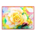 【M様ご予約済みカレンダー🗓️】machiオリジナル2026年虹色カレンダー1冊 & ポストカード２枚のセット🌈（1月からの日曜日はじまり・壁掛けversion・表紙付き）
