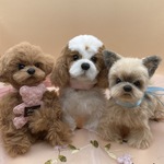 【ten10-m様専用】うちの子キャバリア・ふわふわヨーキー、ぶら下がるテディプーレッド