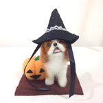 羊毛ハロウィンワンコ キャバリア