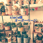 ☆xiaxia様ご注文専用ページ☆