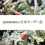 yamaneko22さまオーダー品