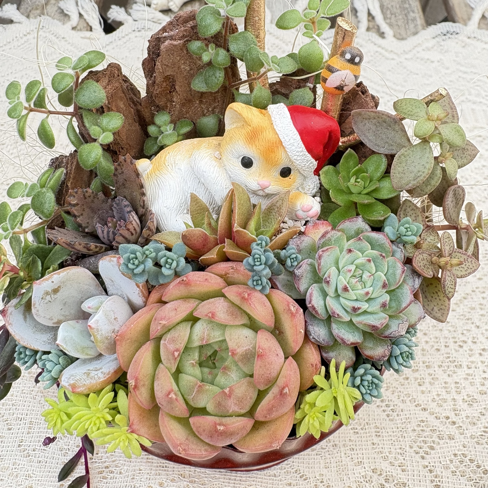 送料無料】可愛い♡毛づくろい猫さん♪多肉植物寄せ植え プレゼント
