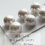 淡水パール　ルース　セミラウンド　白　　ペア　12mm  穴無し　天然素材　資材　連材　パーツ　通販　Gemup  ジェンプ