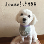 犬用スタイ・バースデースタイ