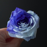 【ロイヤルブルー×ペールブルー】【枯れない薔薇】*バラ一輪挿しインテリア*【樹脂粘土】