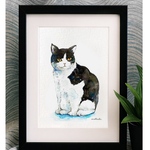 原画＊白黒猫の水彩画