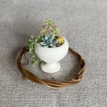 ☆ミニチュア☆　多肉植物寄せ植え　☆コイゴコロ