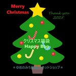  Merry Christmas☆彡保護犬 保護猫 チャリティー☆彡 クリスマス福袋　＊クリスマス2025　送料込み　送料無料