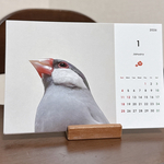 2026年卓上　文鳥カレンダー