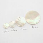 天然蝶貝片穴シェルプレート10mm ４個