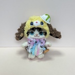 頭にアイスを乗せた垂れ耳(キジ白