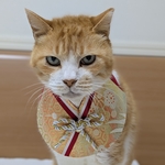 梅の着物