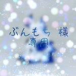 ぶんもち 様 専用♪