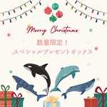 3箱限定！スペシャルプレゼントボックス