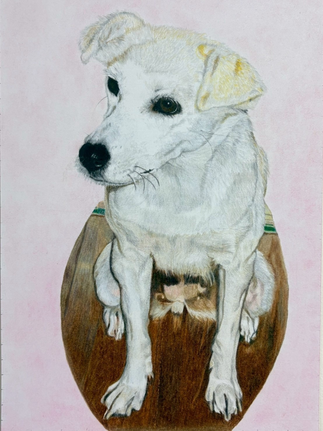 ペットの色鉛筆画　ペットの似顔絵　オーダーメイド　うちの子　いぬ　ねこ 7,200円