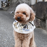 12/14締切　犬正月　犬着物【白】犬ケープ　ペットスタイ　お祝い　七五三　ハレの日