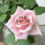 Ho様専用ページ❤️