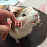aya-yo様専用ページ♡