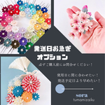 お急ぎ便【オプション】　