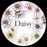 QYマステ11月新作Daisy 4cm×5M PET