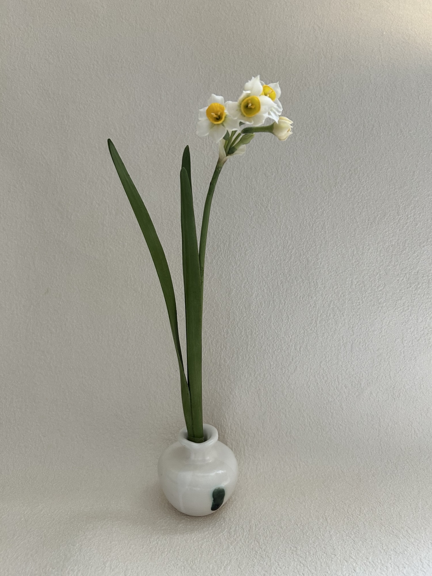クレイフラワー 水仙Aタイプ - FLORACLAY'S GALLERY | minne byGMO