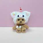 頭にゼリーを乗せた猫耳さん(トイプードル)