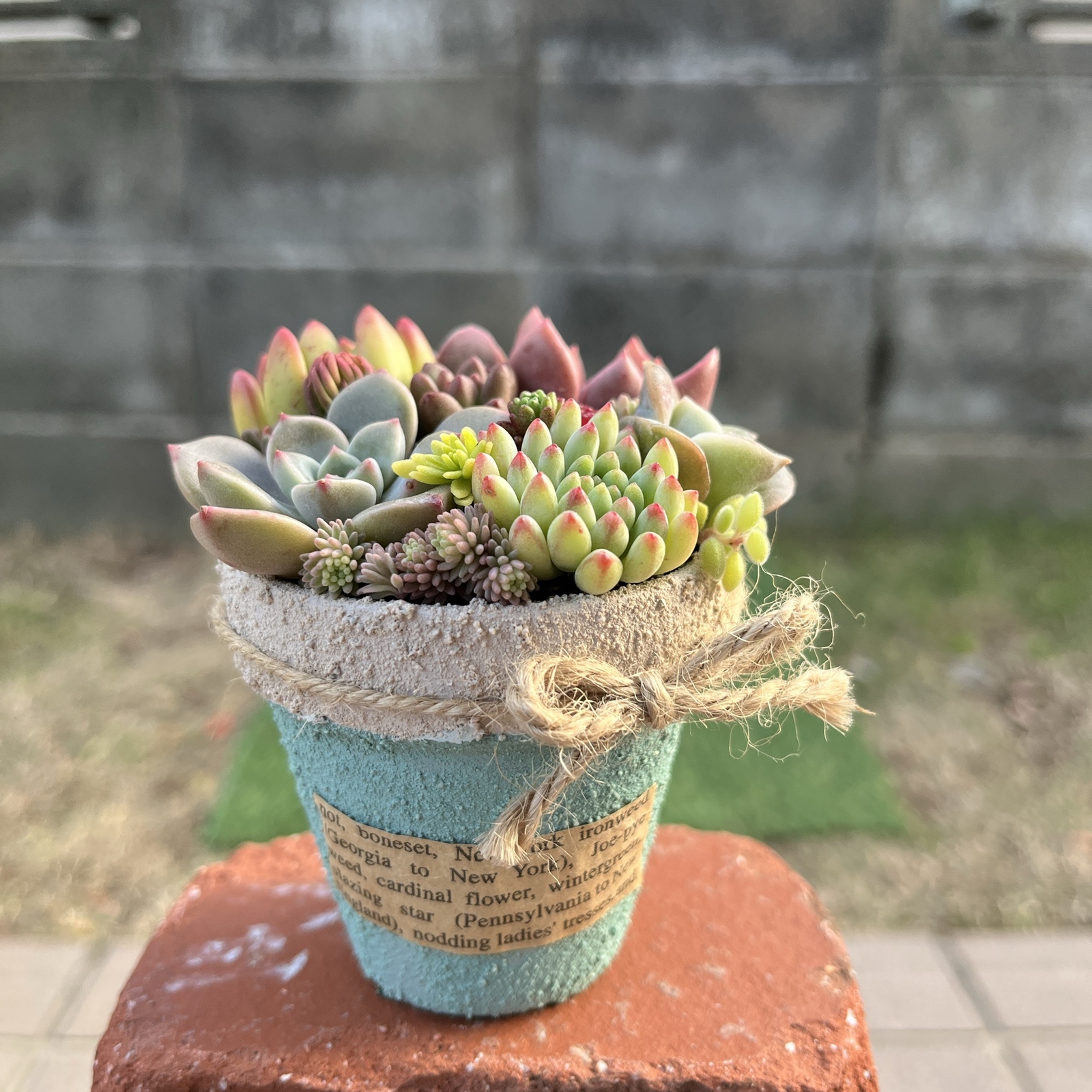 リメイク鉢の人気通販 | minne byGMOペパボ 国内最大級のハンドメイド