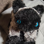 デビたん。