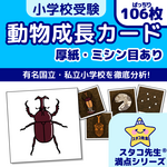 小学校受験　動物　カード　(ミシン目あり)　動物の成長　理科的常識　自然科学　知育　スタコ先生