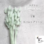 大地農園！プリザーブドフラワー 「ラグラス 1束 コバルトグリーン」プリザ 花材 ハーバリウム おしゃれ かわいい プレゼント 贈り物　オオチノウエン