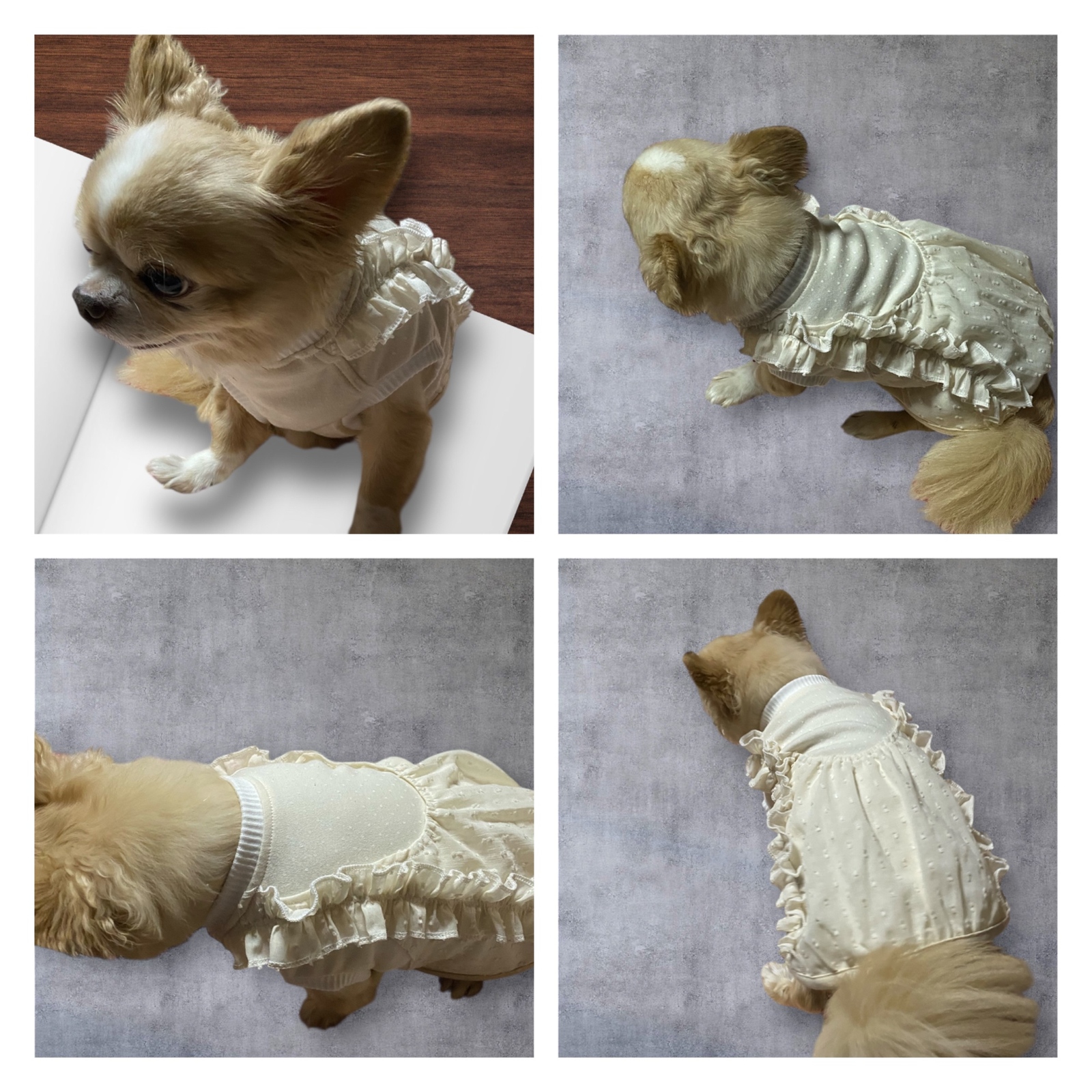 送料無料小型犬犬服☆ストライプ×スター☆サロペットスカート