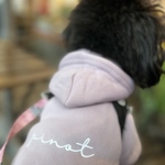 新色✨数量限定！再販 SALE！わんこの冬支度　名入れ犬服simple サイン字名入れ 犬服パーカー☆オーダー名前入れお洒落パーカー