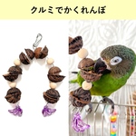 フォージングトイ★クルミでかくれんぼ