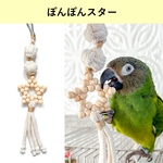 ぽんぽんお星様モチーフのインコさん用おもちゃ